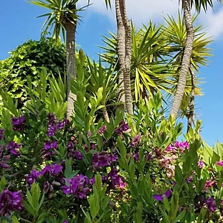 Quinta Da Violeta 4* ローレ