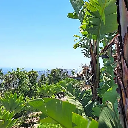 ホテル Quinta Da Violeta 4*